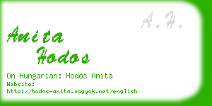 anita hodos business card